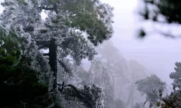 月光影视