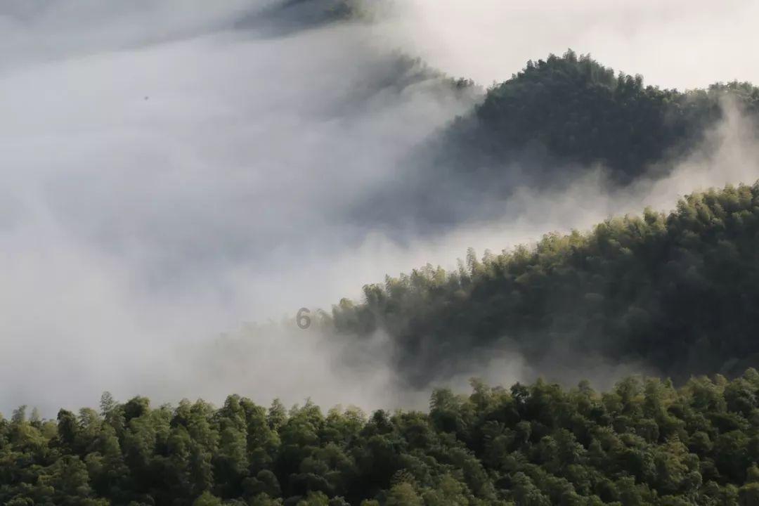 探索专业技术人员资格考试诚信档案库哪里查热门话题的红迪网平台